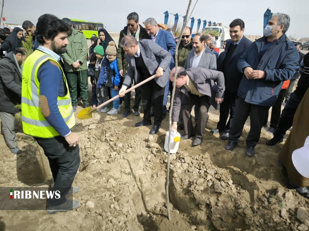 شروع کاشت ۶ هزار نهال در مسیر کاروان‌های پیاده  امام رضا (ع) در رضویه