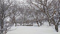 بارش برف در روستای جغدان از لنز دوربین شهروند خبرنگار