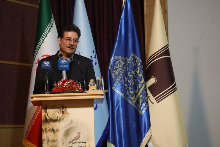 سرپرست پژوهشگاه میراث فرهنگی: طرح ها، استان محور می شوند