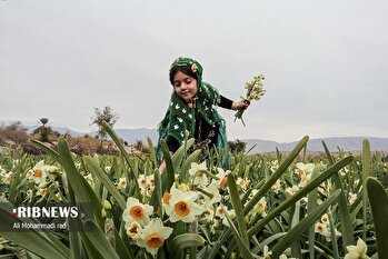 قلم دوربین/۶ اسفند ۱۴۰۳/بسته خبری