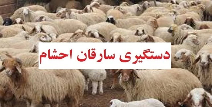 کشف ۱۵ فقره سرقت احشام در فارس