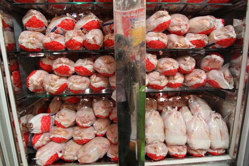 تولید مرغ در داورزن خراسان رضوی ۵۰ درصد افزایش یافت