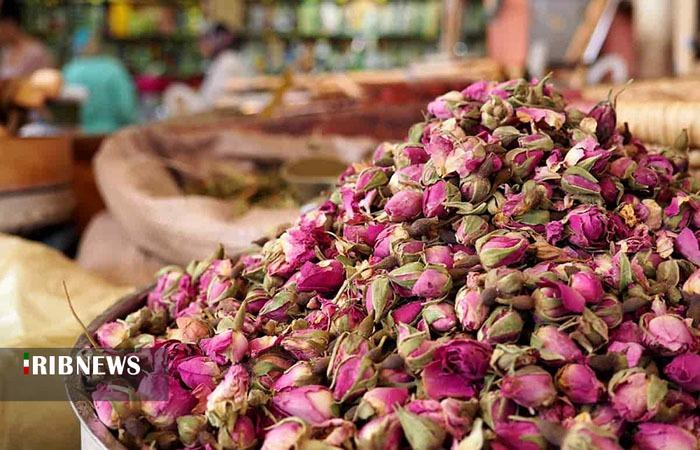 صادرات سالانه ۴ هزار تن گل محمدی خشک از استان لرستان