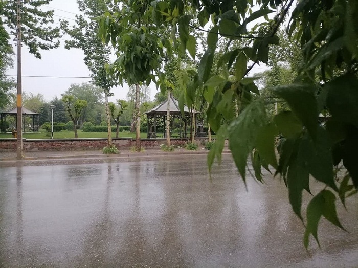 بارش باران در پیرانشهر باعث خوشحالی مردم بویژه کشاورزان شد