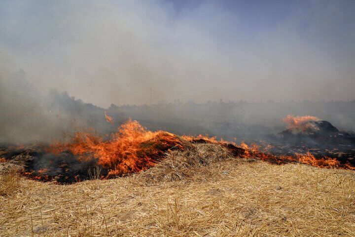 اطلاعیه محیط زیست خوزستان درباره سوزاندن بقایای مزارع کشاورزی
