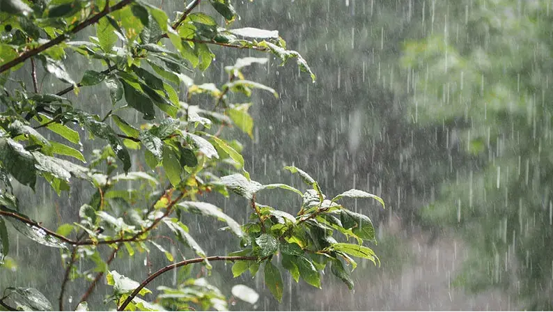 اسلام آباد موگویی رکوردار بارش‌های رگباری