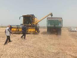 توسعه کشت مکانیزه در سطح ۹۰ هزار هکتار از مزارع غلات استان