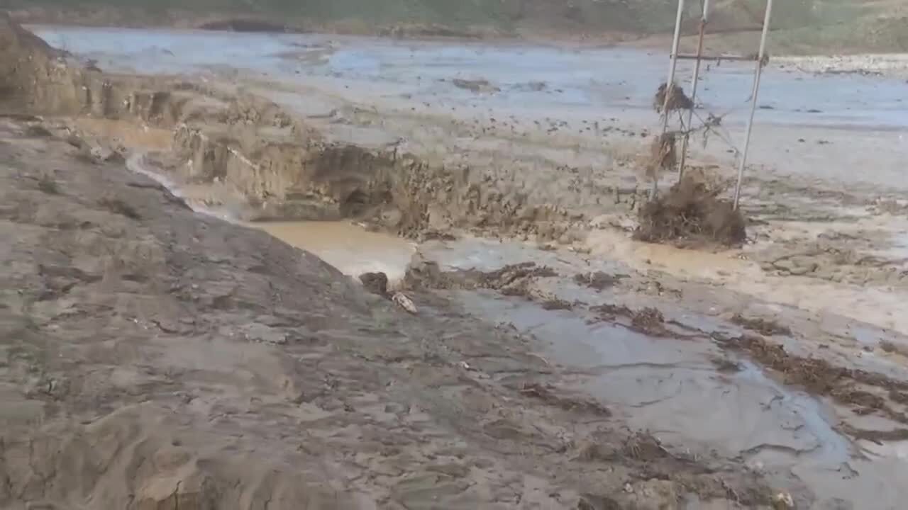 خسارت تگرگ و باران به مزارع شهرستان تربت جام