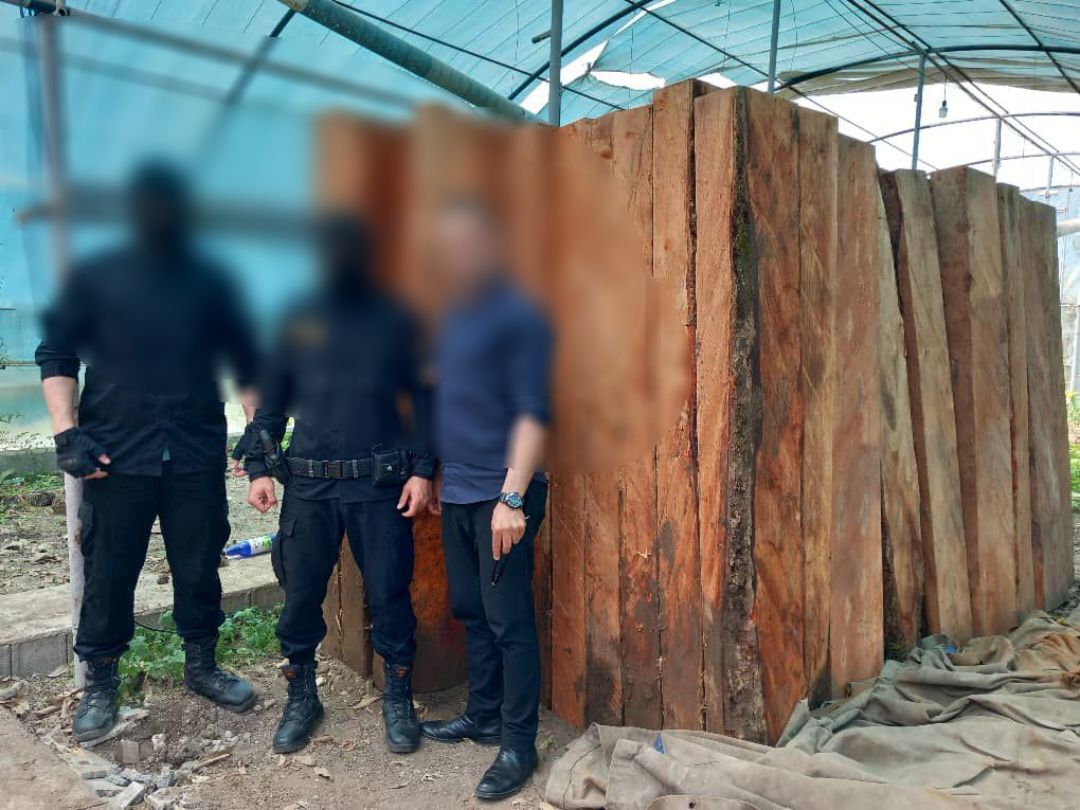قاچاقچیان چوب در دام مأموران یگان حفاظت منابع طبیعی عباس آباد