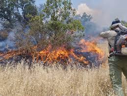 تاکید بر آمادگی ستاد بحران برای مقابله با آتش سوزی در جنگلها و مراتع