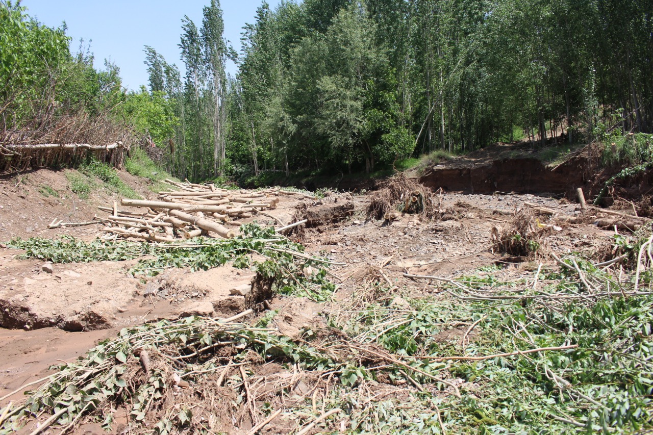 خسارت سیل، تگرگ و باران به مزارع و باغات شهرستان کوهسرخ