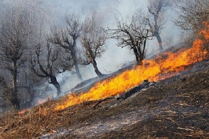 افزایش ۶۳ درصدی آتش سوزی در مراتع زنجان