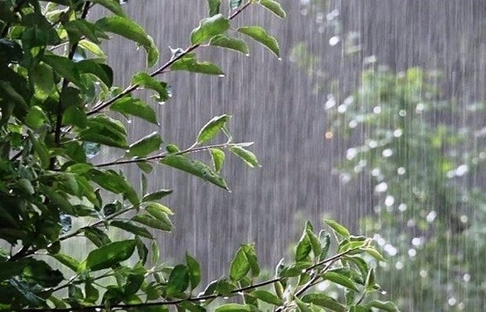 ثبت ۷ میلی متر بارش باران در بوئین زهرا