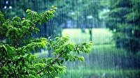 بارش باران بهاری و لطافت آب و هوای استان