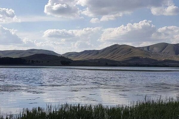 آبگیری ٩٠ درصد تالاب قره گل بوکان