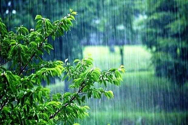 ثبت بیشترین بارندگی در پیکوه طبس با ۲۱ میلی متر
