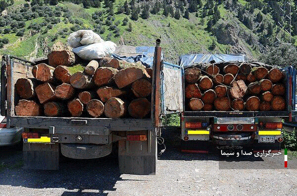 ۸ تن چوب سرقتی در اسفراین کشف شد