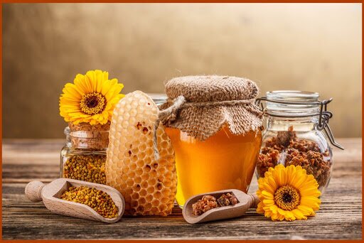 مشهد رکورد دار تولید عسل در خراسان رضوی
