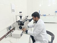  ساخت زخم پوش‌های نانولیفی از عصاره گیاه الورا توسط محققان سلماسی 