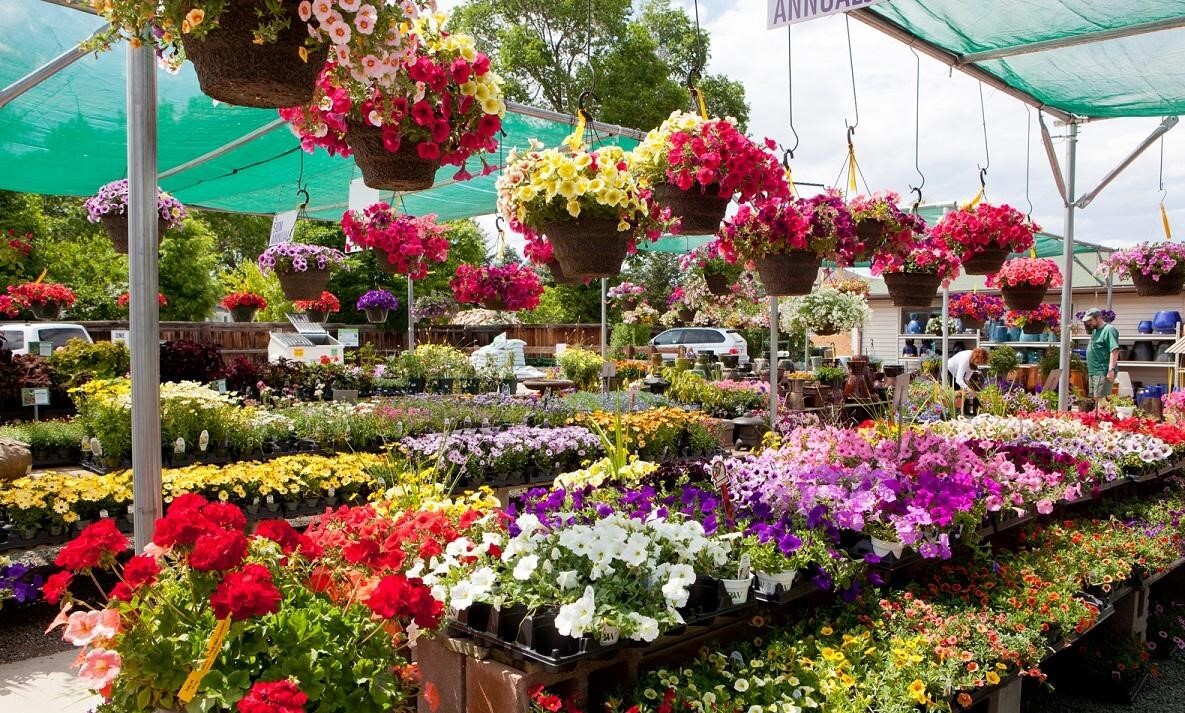 **بازار گل در محله سعادت آباد احداث شد