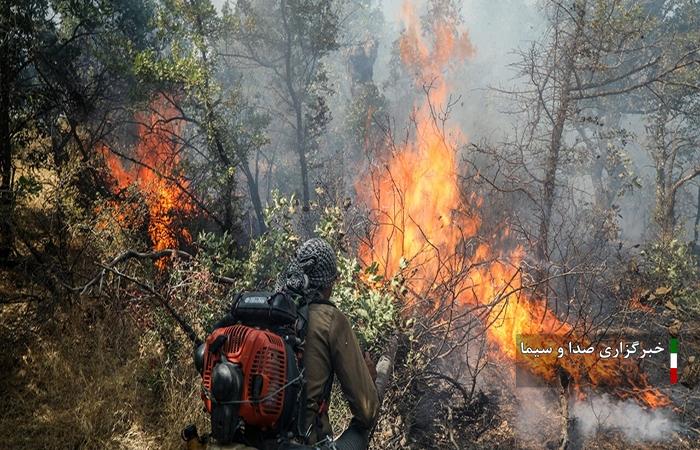 شش هکتار از اراضی جنگلی بخش ویسیان در آتش سوخت