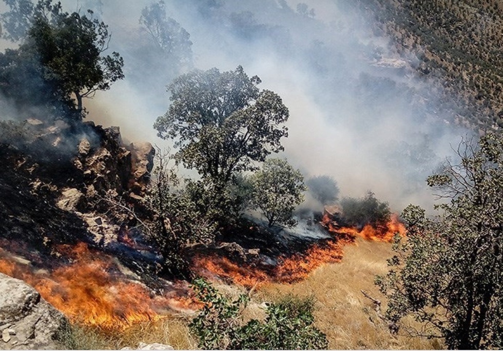 آتش سوزی درمنطقه بلبزان شهرستان پاوه همچنان ادامه دارد