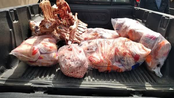 کشف ١۵٠ کیلوگرم گوشت قرمز و سفید غیربهداشتی در قوچان