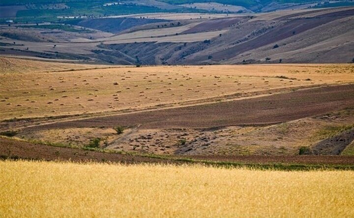 راه اندازی چهار پایگاه نوآوری جهش تولید در دیم زارهای آذربایجان غربی