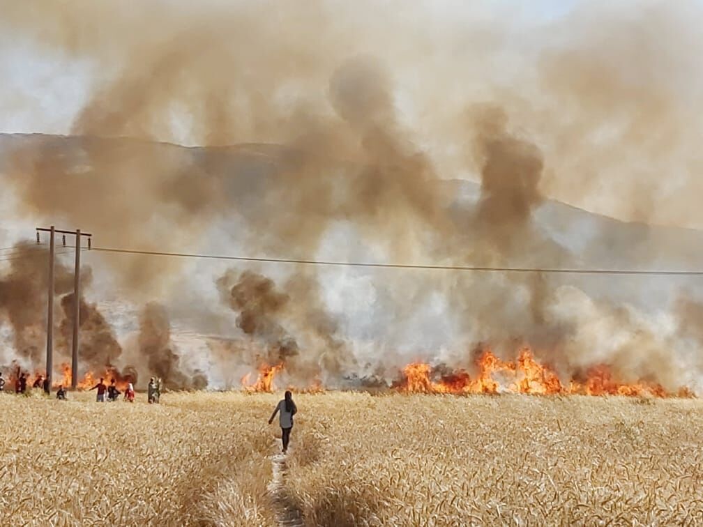 آتش سوزی مزارع روستای سرچاه