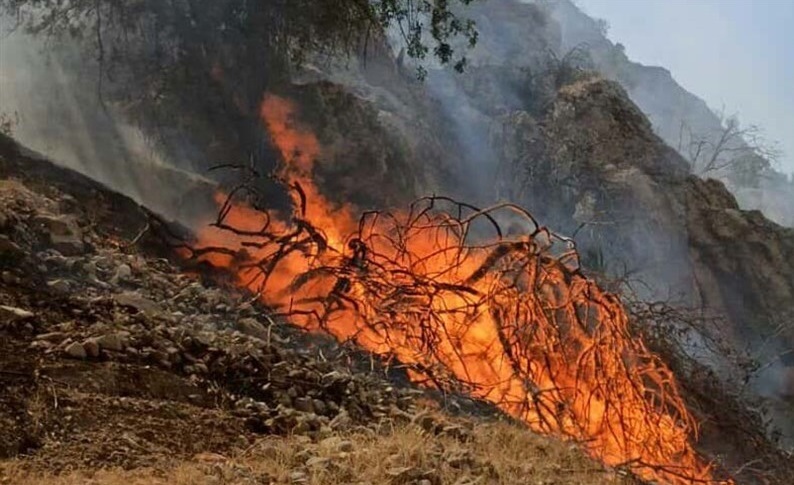 شعله ور شدن دوباره آتش در منابع جنگلی چناره کبیرکوه