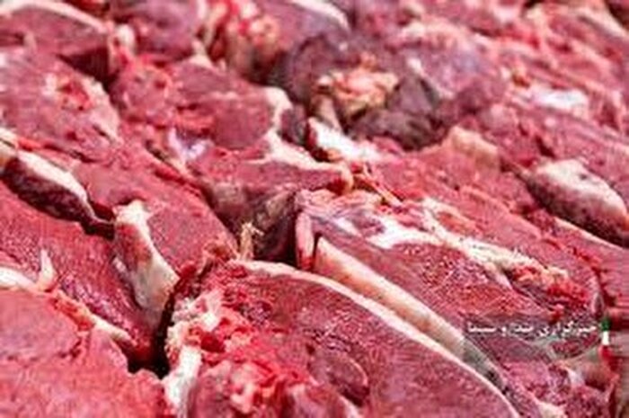 توزیع گوشت گرم گوساله در استان با قیمت مصوب