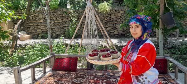 برگزاری سومین جشنواره برداشت گیلاس در گلمکان