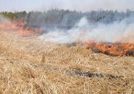 مهار آتش زمین کشاورزی روستای خیرات گرگان و جلوگیری از سرایت آتش به جنگل توسکستان  