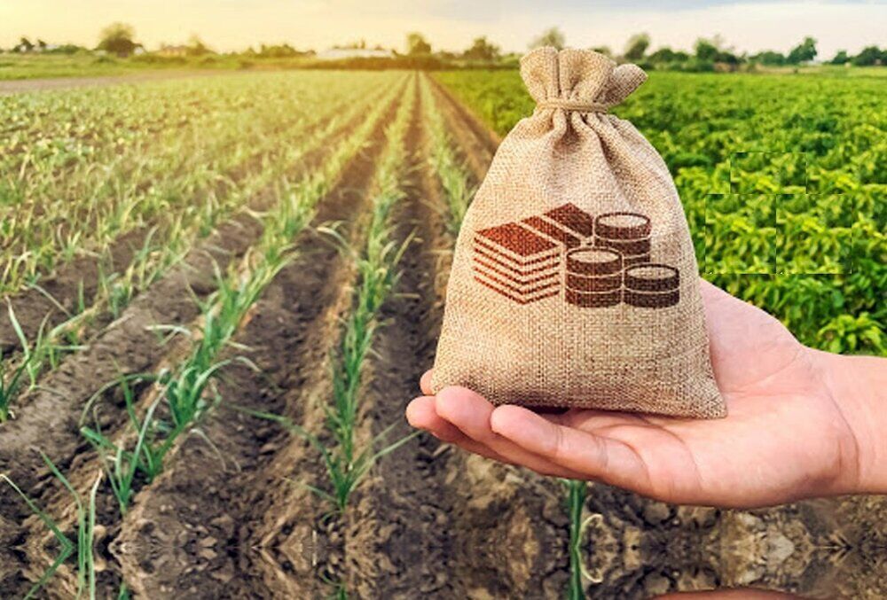 پرداخت ۳۵۰ میلیارد تومان خسارت به بیمه‌گزاران بخش کشاورزی آذربایجان غربی