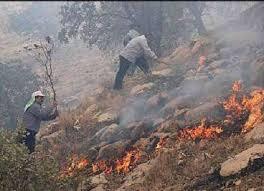 خطر آتش سوزی بیخ گوش جنگل‌ها و مراتع کهگیلویه و بویراحمد