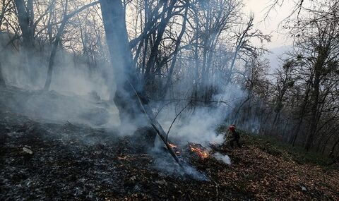 مهار آتش سوزي در مراتع و زمينهاي کشاورزي منطقه سرقلعه وجگيران سرپلذهاب
