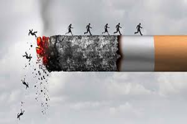 دخانیات عامل اصلی بیماری‌های قلبی و عروقی است