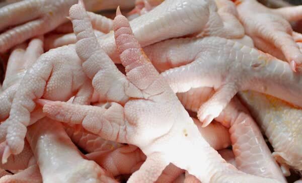 پا و پنجه مرغ ازطرقبه شاندیزدر سبد صادراتی به چین قرار گرفت
