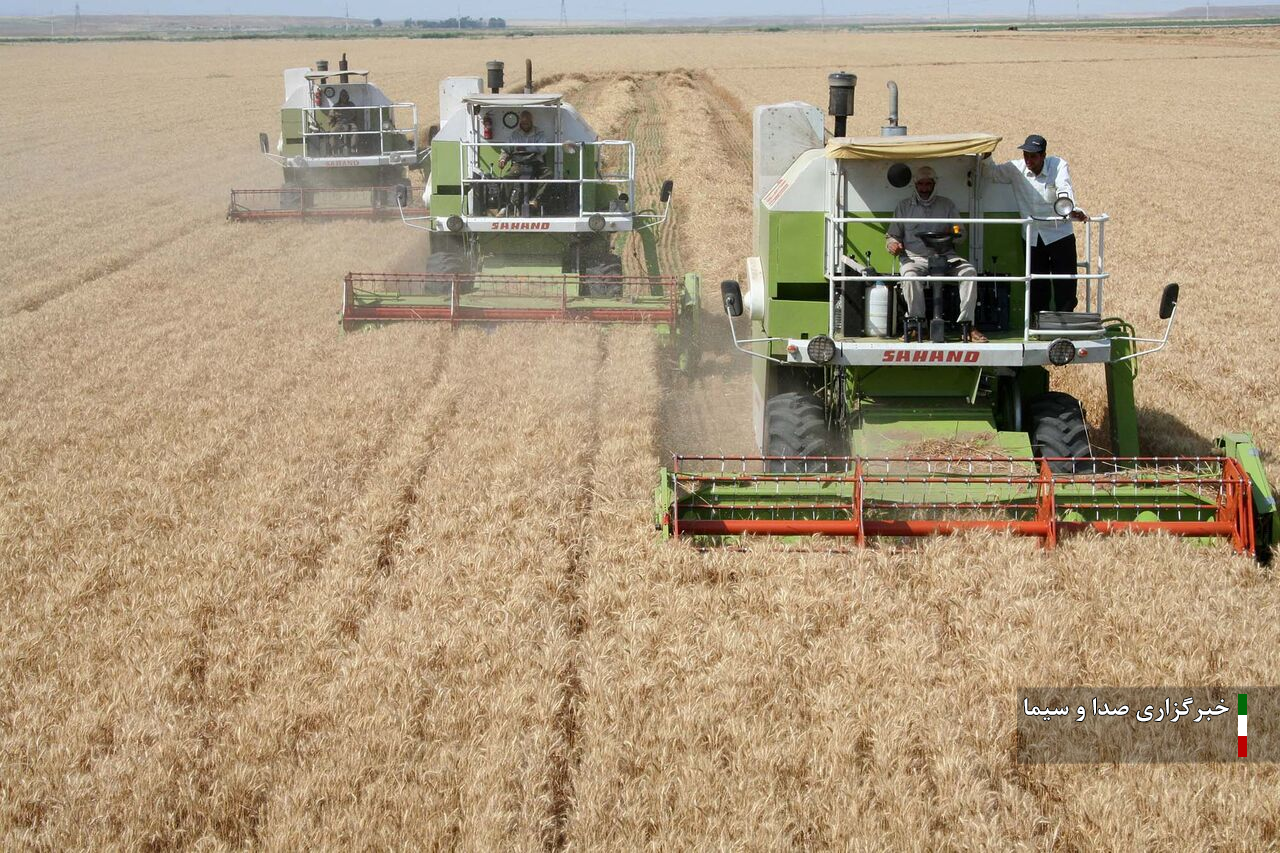 پیش‌بینی خرید ۴۵۰ هزار تن گندم از کشاورزان