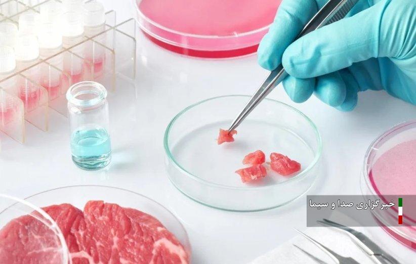 تجهیز دامپزشکی لرستان به آزمایشگاه گونه شناسی گوشت