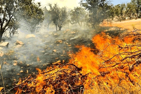 ۹۰ درصد عوامل آتش‌سوزی ناشی از عوامل انسانی است