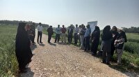 سه مزرعه نوآور بهره‌ور در استان بوشهر رونمایی شد