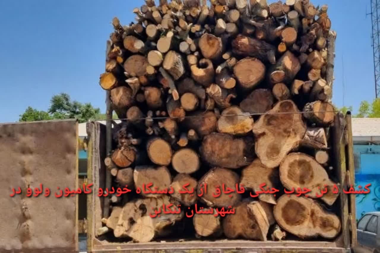 کشف یک خودروی کامیون حامل چوب جنگلی در تنکابن