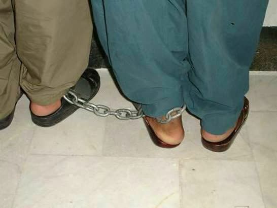 دستگیری متهم به سرقت احشام در نیشابور