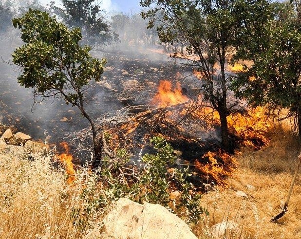 مهار آتش‌سوزی گسترده در پارک ملی کرخه