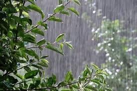 باران ، میهمان آخر هفته خراسان رضوی