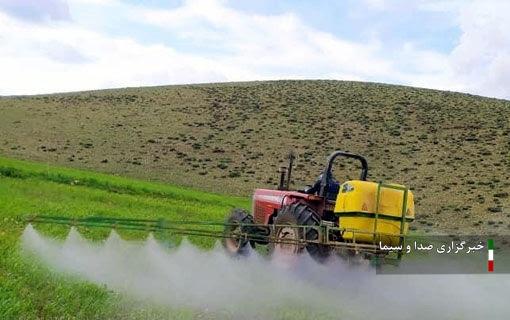 مبارزه با آفات در ۱۳۴ هزار هکتار از مزارع گندم آذربایجان شرقی