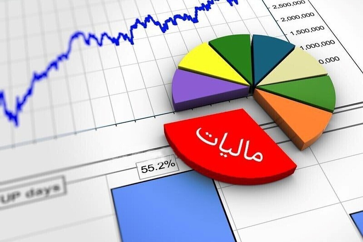 مشارکت بخش خصوصی در هوشمندسازی مالیات