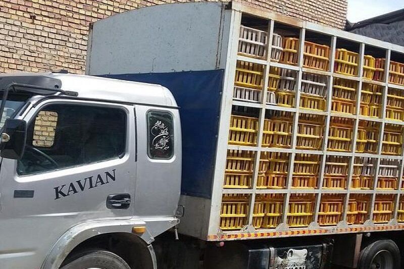 توقیف کامیون حامل هزار و ۶۴۰ قطعه مرغ زنده فاقد مجوز در درمیان