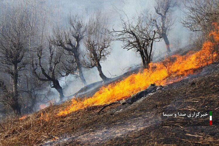 مهار آتش سوزی در پارک ملی کرخه
